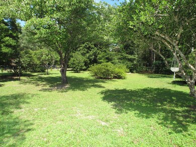 4180 Honeysuckle Cir, Middleburg, FL 32068 - photo 4