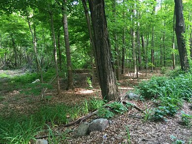 Land/Lot.