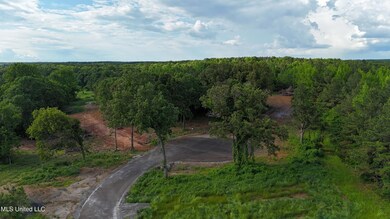 8 Tyro Branch Cove, Senatobia, MS 38668 - photo 4