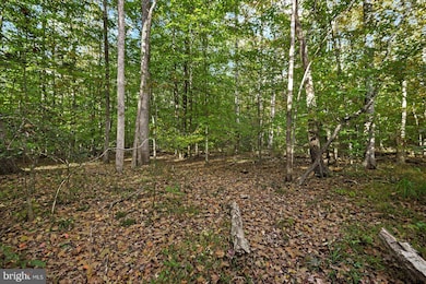 0 Holly Corner Rd unit VAST2043660, Fredericksburg, VA 22406 - photo 3