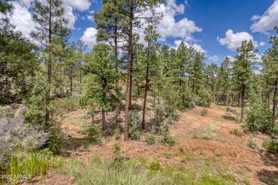 2080 S High Sierra Ct unit 86A, Show Low, AZ 85901 - photo 5