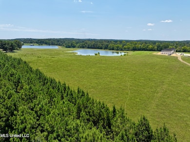 dji_fly_20240812_171646_0001_17234952663