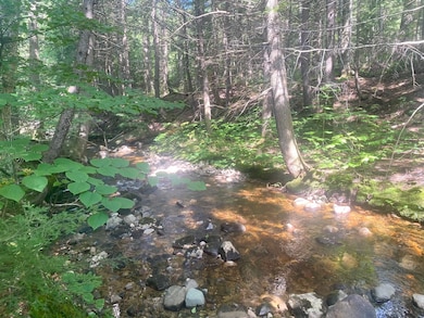 Shepard River