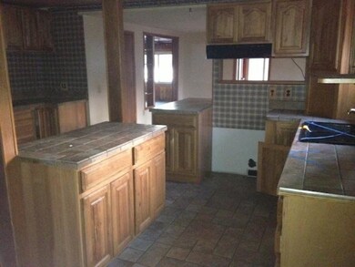 12872 Pickeral Ave, Bitely, MI 49309 - photo 2