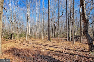 589 Three Chopt Rd, Kents Store, VA 23084 - photo 6