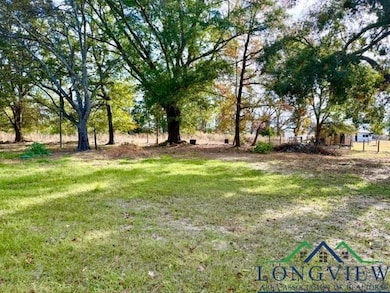 1951 Lime Tree Rd, Gilmer, TX 75644 - photo 4