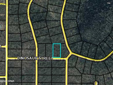 0000 Grand Quiviera Cir, Alford, FL 32420 - photo 2