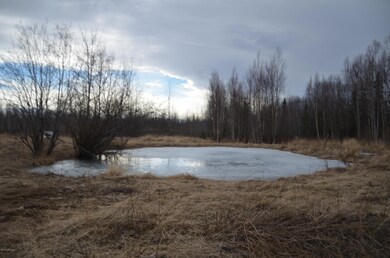 DSC_2178.JPG