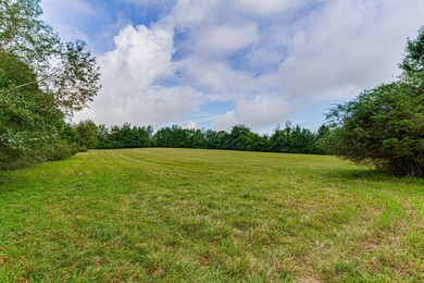 1418 Birch St, Shelbyville, TN 37160 - photo 5