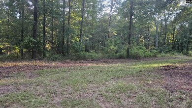 3064 Highway 1 N, Cassatt, SC 29032 - photo 6