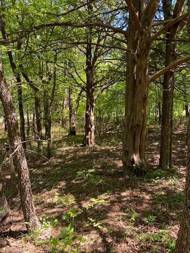 0 E 890 Rd, Chandler, OK 74834 - photo 5