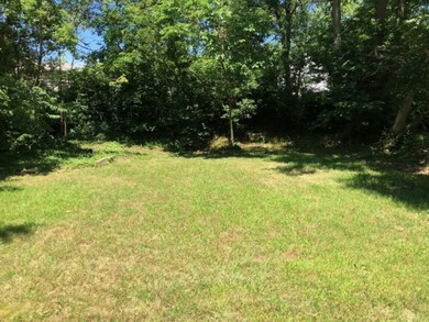Back Yard 1115 Adams