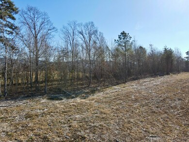 0 Industrial Pike, Whitwell, TN 37397 - photo 7
