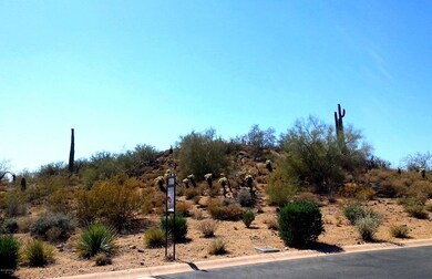 4 Custom 3/4 Acre North East Facing