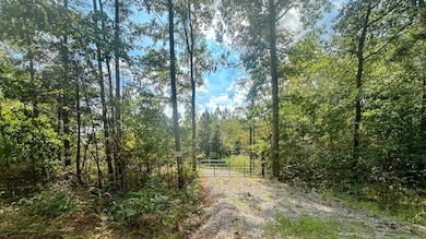 0 Jeanette Holladay Rd, Parsons, TN 38363 - photo 3