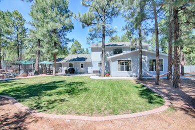 Backyard3