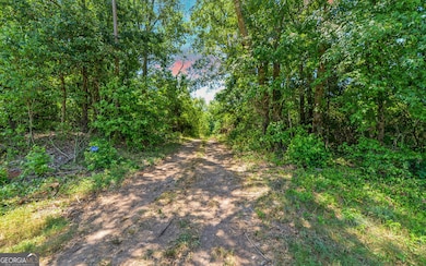 3439 TRACT 6 Providence Church Rd, Hartwell, GA 30643 - photo 4