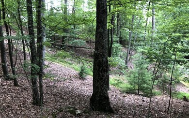 Additional View