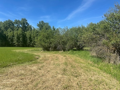 42420 Holt Ranch Ln, Pablo, MT 59864 - photo 6