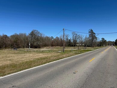 8287, 8353 Rushing Rd, Denham Springs, LA 70726 - photo 5