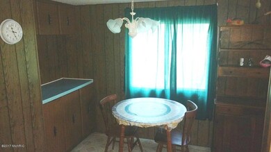 8217 W Oakwood Ave, Baldwin, MI 49304 - photo 3