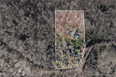 22982 Liberty Trail Rd, Natural Dam, AR 72948 - photo 4
