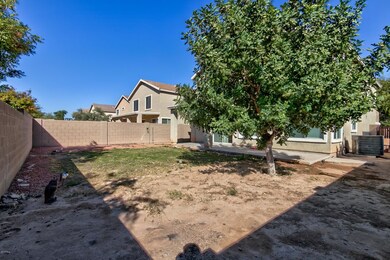 Backyard 2