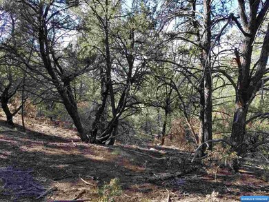 56 Vesuvius Way, Silver City, NM 88061 - photo 6