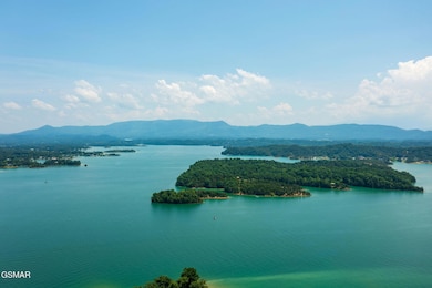 Parcel 020 Douglas Lake, Dandridge, TN 37725 - photo 4