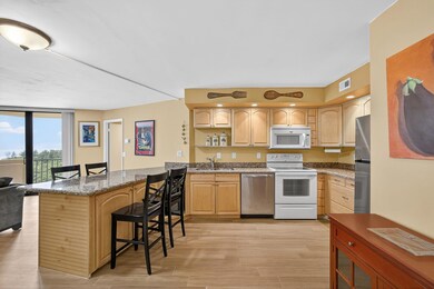 Phoenix Towers Condominium unit A10A, Riviera Beach, FL 33404 - photo 7