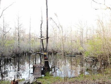 0 Harley Davidson Ln unit 304344, Crawfordville, FL 32327 - photo 2