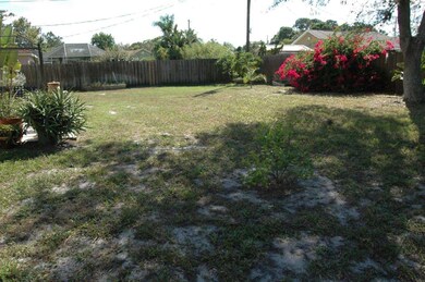 Back yard