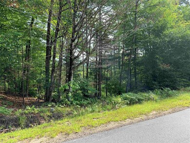 36 N Groton Rd unit lot 36, East Hebron, NH 03241 - photo 4