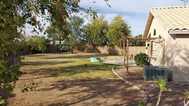 backyard3