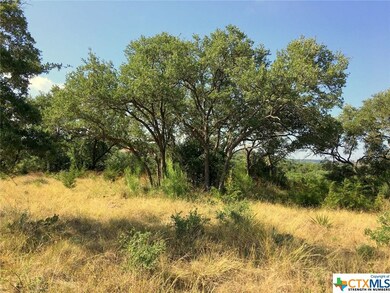 631 Angelica Vista, Canyon Lake, TX 78133 - photo 3