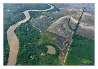 787 Lower Lockhart Rd, Cord, AR 72524 - photo 5