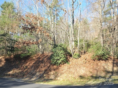 000 Didrikson Way unit 244, Hendersonville, NC 28739 - photo 5