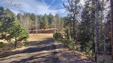 97 Shadow Lake Dr, Divide, CO 80814 - photo 4