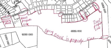 399 Travelers Rest Rd, Montezuma, GA 31063 - photo 3