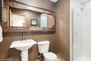 386 N Larch Ave, Elmhurst, IL 60126 - photo 5