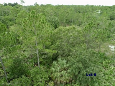 775 Union Ave, 33440, 2.5 acres