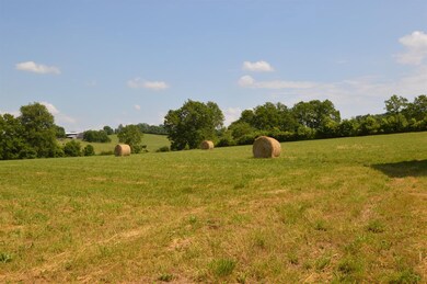 1723 Cummins Ferry Rd, Versailles, KY 40383 - photo 5