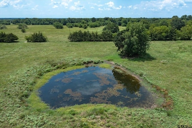 00 Vz County Road 3812, Wills Point, TX 75169 - photo 6