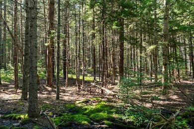 Lot 2A Allen Point Rd, Harpswell, ME 04079 - photo 2