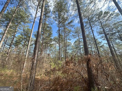 0 Ruckersville Rd unit 10490441, Elberton, GA 30635 - photo 3