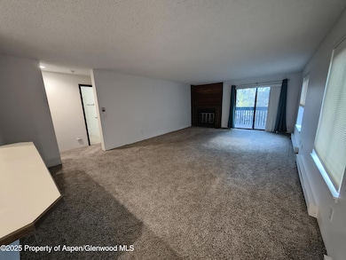 2820 Hager Ln unit 1D, Glenwood Springs, CO 81601 - photo 6