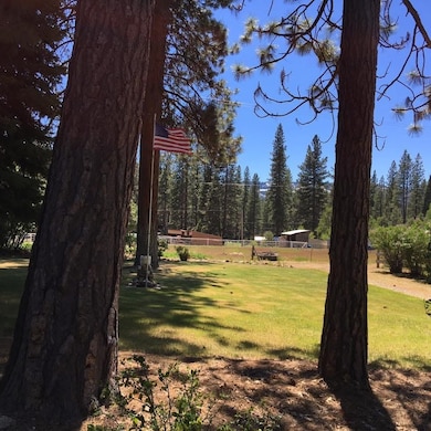 58411 Cedar Ln, Cromberg, CA 96103 - photo 7