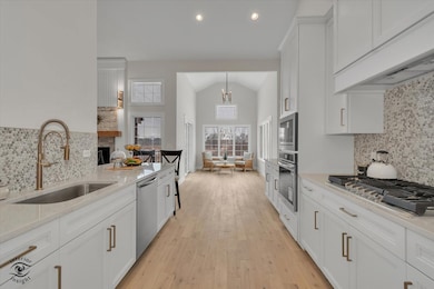 8893 Buffington Breakwater Dr, Frankfort, IL 60423 - photo 7