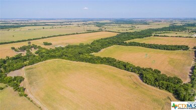 816 County Road 451, Eddy, TX 76524 - photo 7