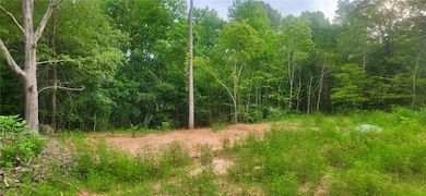 209 Castlebrook Dr, Walhalla, SC 29691 - photo 2